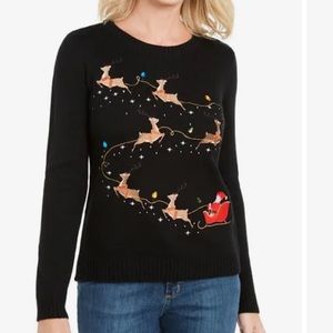 Karen Scott Christmas Sweater